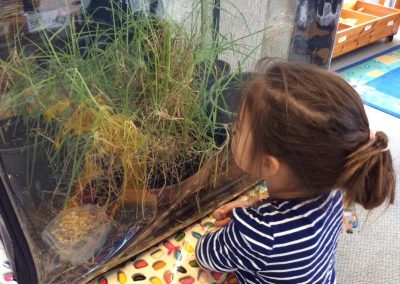 Kids Watching Plants