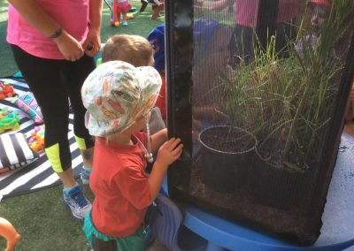 Kids Watching Plants