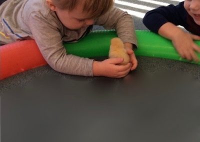 Kids Playing with Chick
